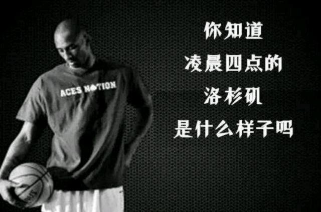 结论式观点 结论式观点